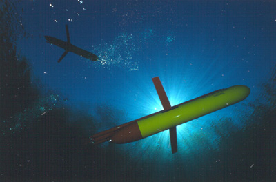 Underwater picture of a Slocum glider.